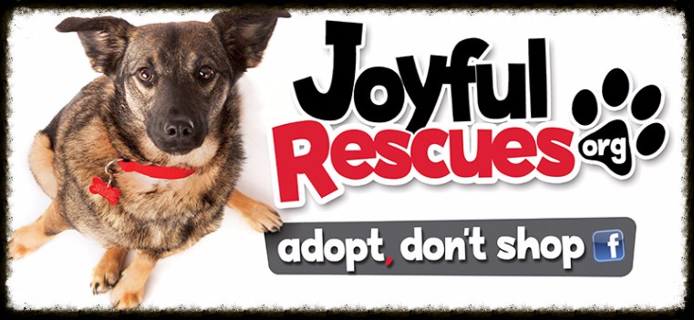 Joyful Rescue
